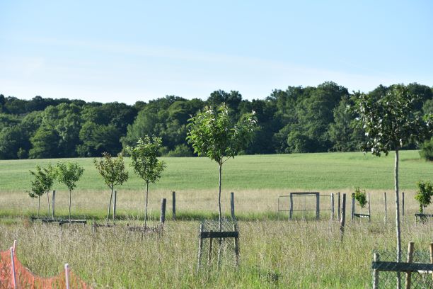 Agroforesterie 2 allégée
